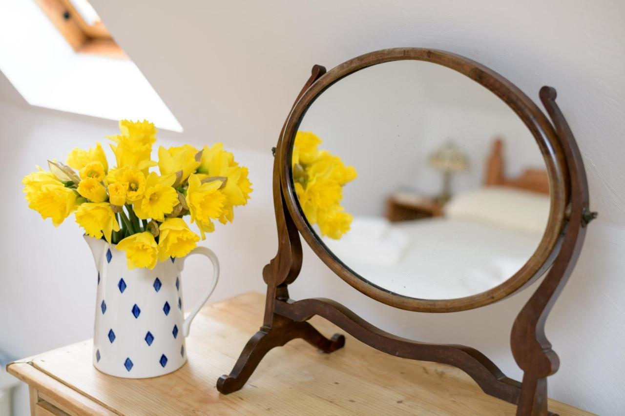 Luccombe Farm Holiday Cottages Milton Abbas Εξωτερικό φωτογραφία