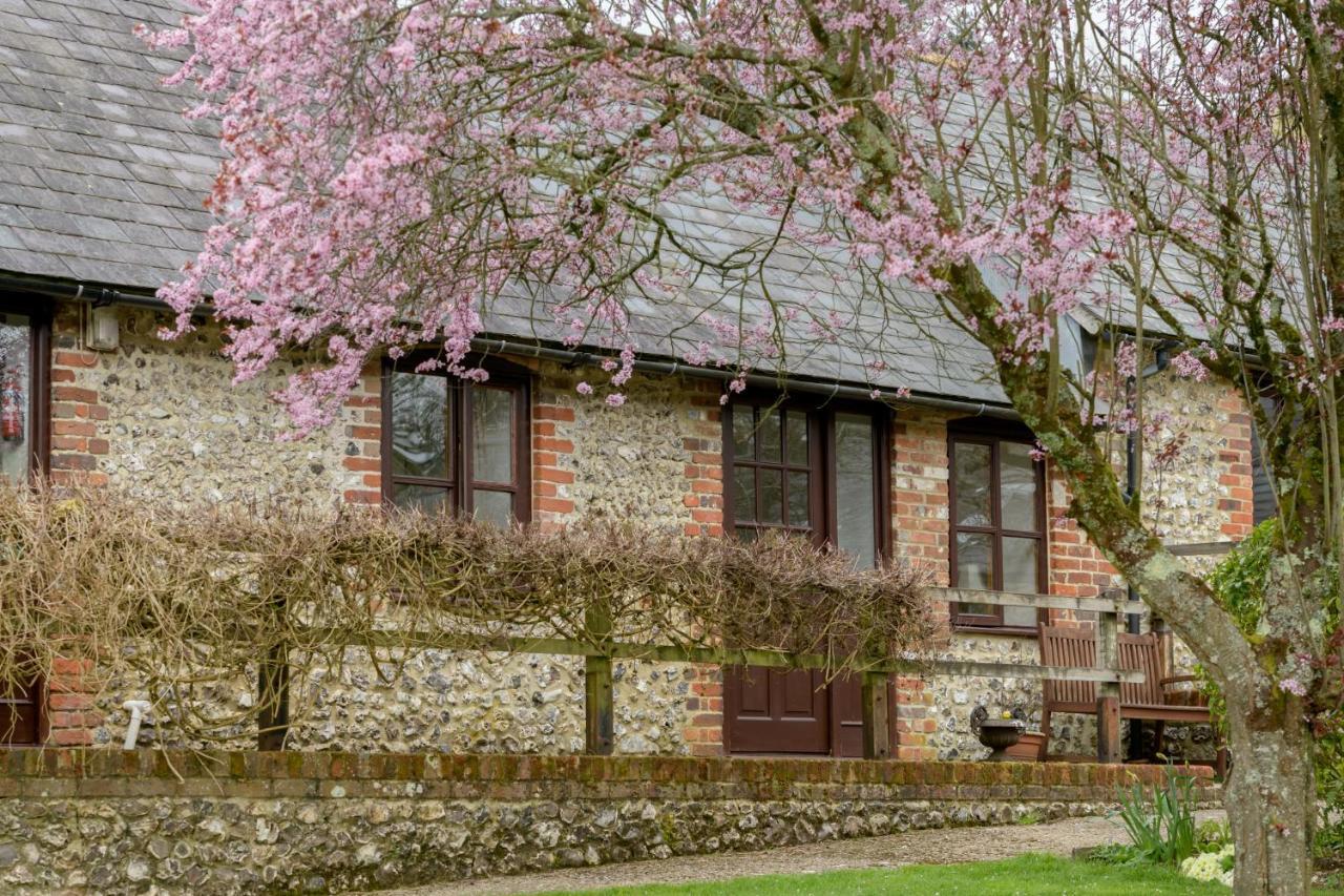 Luccombe Farm Holiday Cottages Milton Abbas Εξωτερικό φωτογραφία