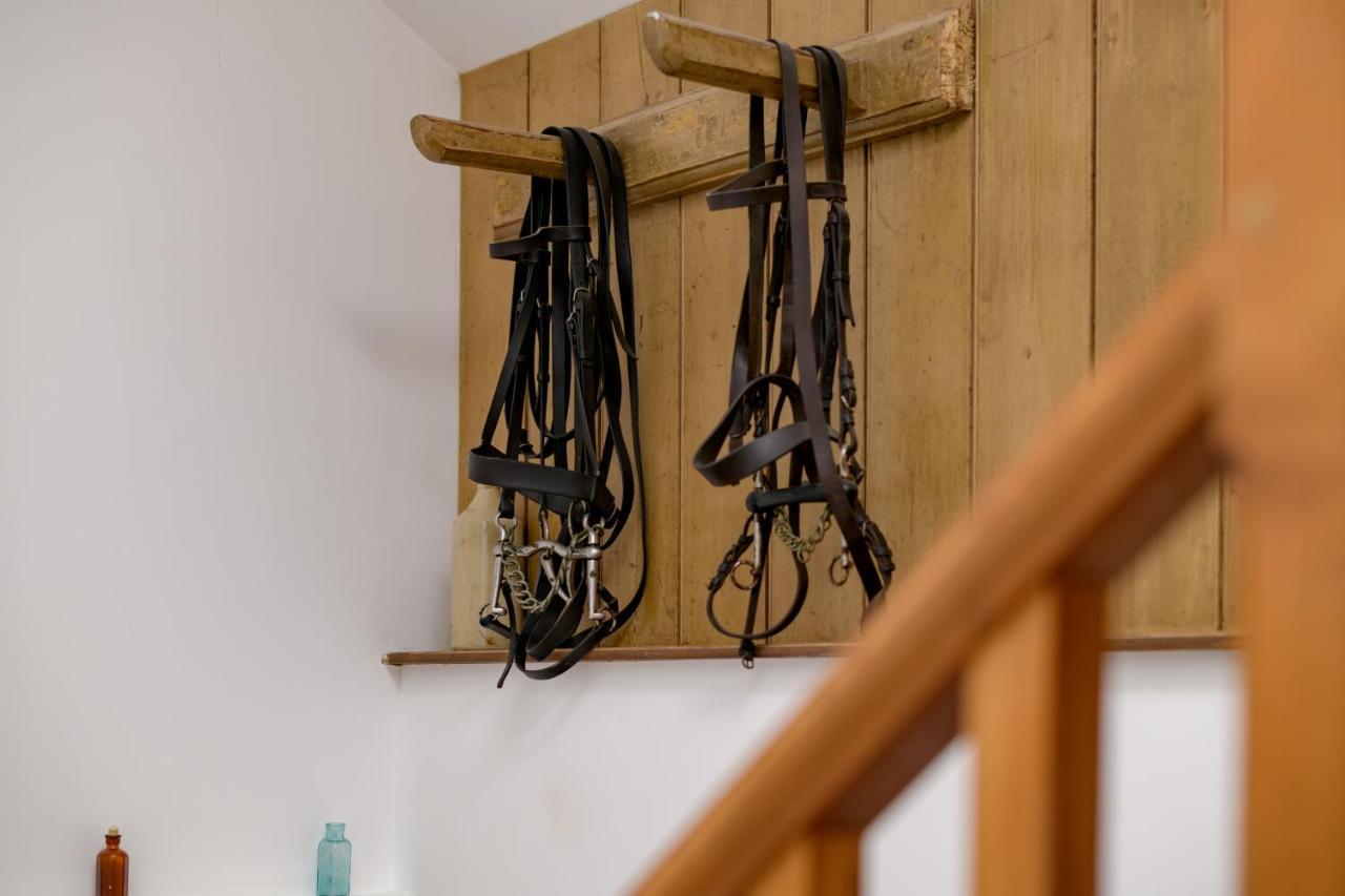 Luccombe Farm Holiday Cottages Milton Abbas Εξωτερικό φωτογραφία