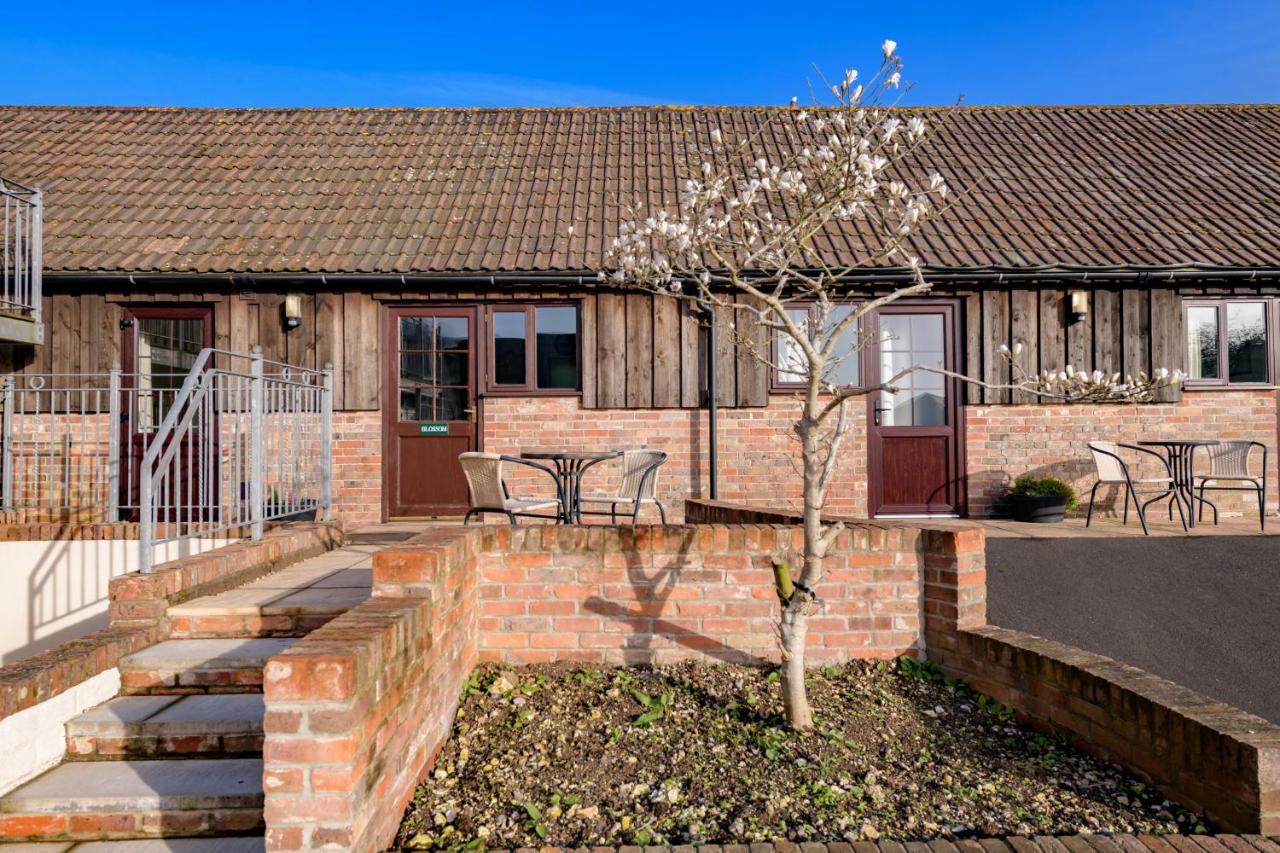 Luccombe Farm Holiday Cottages Milton Abbas Εξωτερικό φωτογραφία