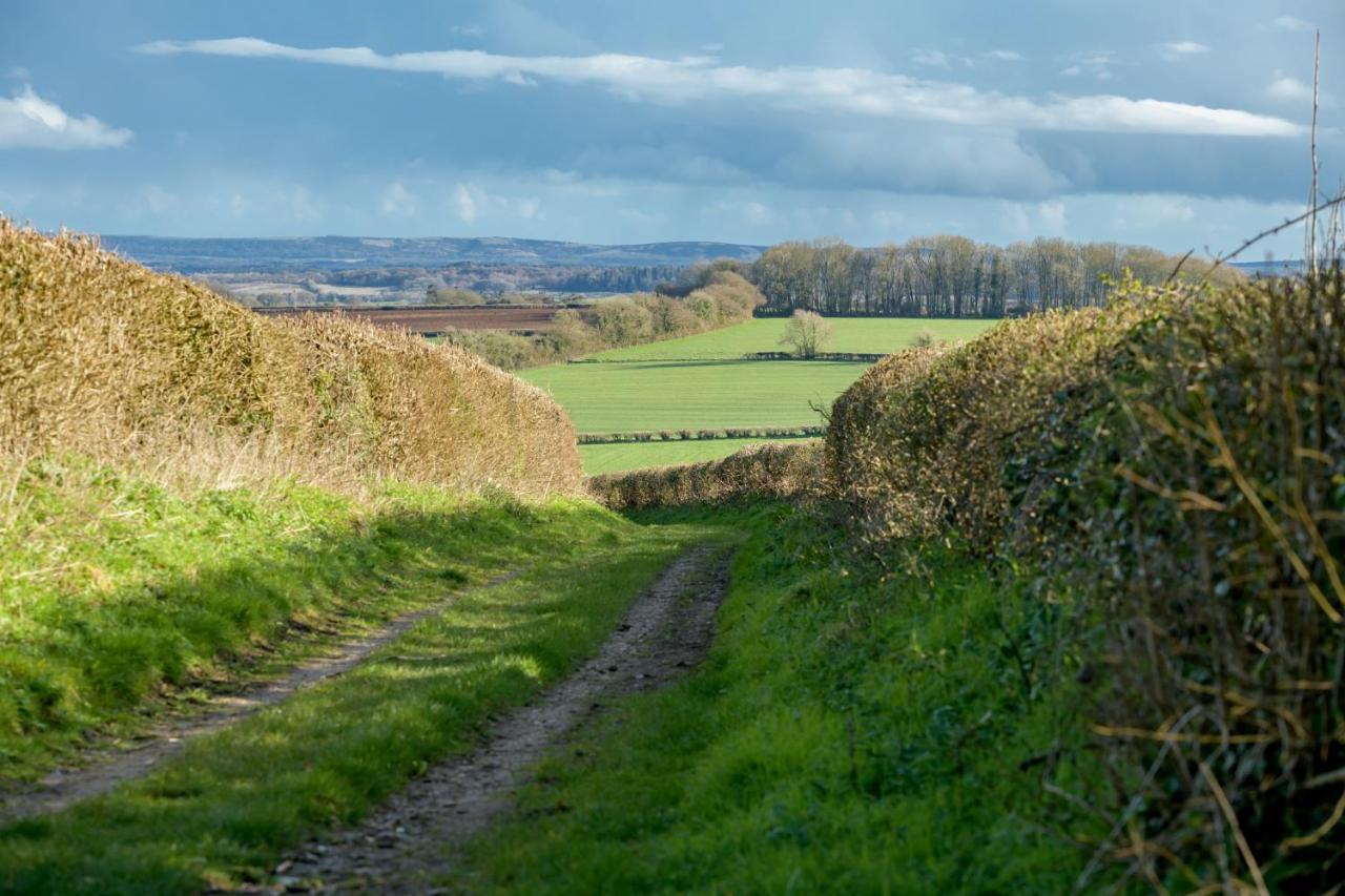 Luccombe Farm Holiday Cottages Milton Abbas Εξωτερικό φωτογραφία