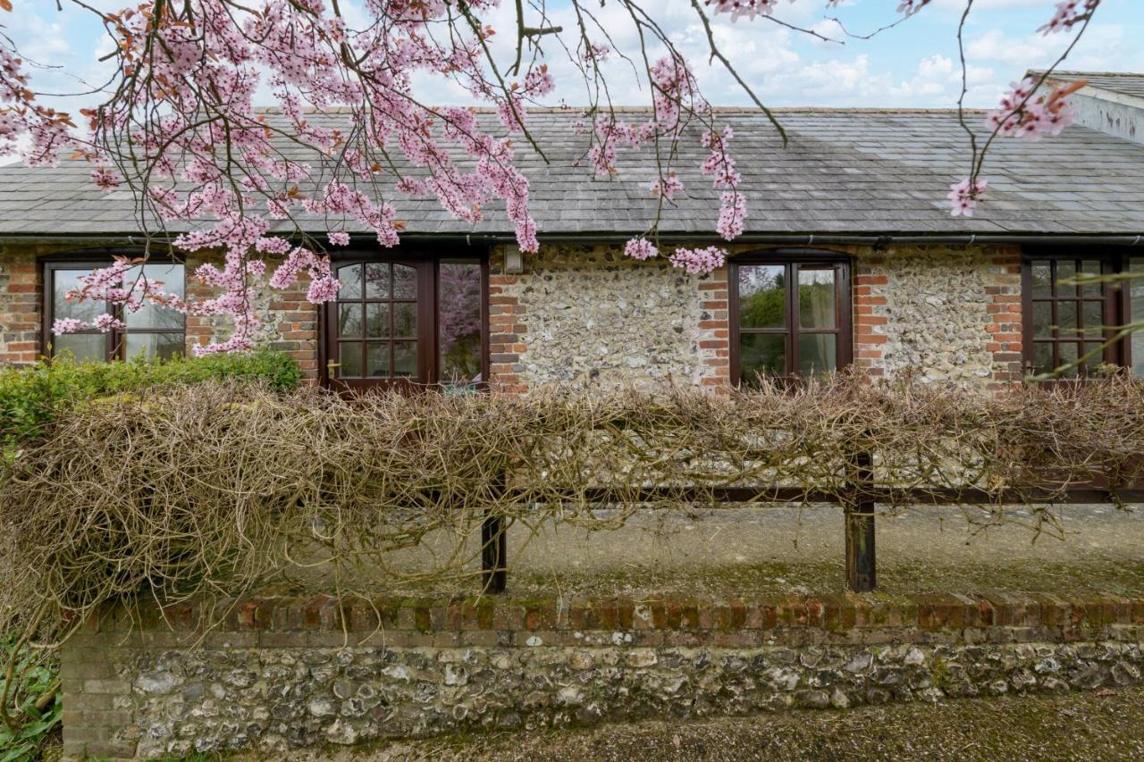 Luccombe Farm Holiday Cottages Milton Abbas Εξωτερικό φωτογραφία